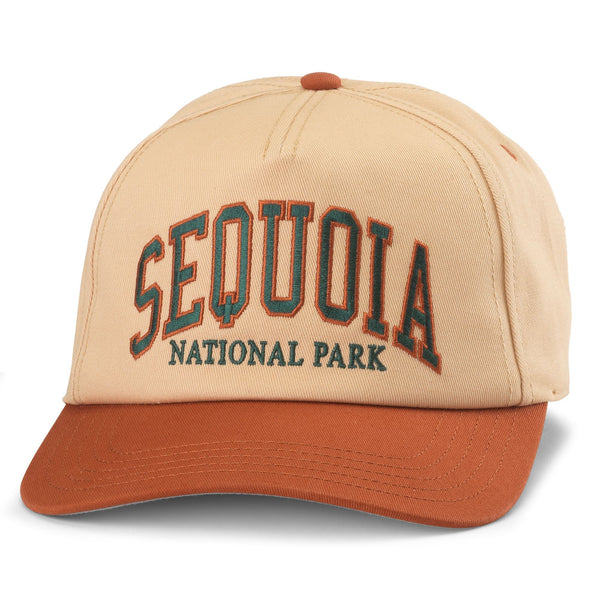 Chapeau Sombrero Mexicain Avec Ornements. Symbole National Du Mexique Illustration Vecteur 484720 4281 Chapeau Sombrero Mexicain Avec Ornements. Symbole National Du Mexique Illustration Vecteur 484720 4281