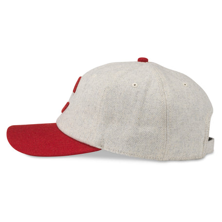cleveland spiders hat