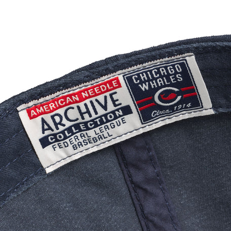 Chicago Whales Archive Jersey by American Needle